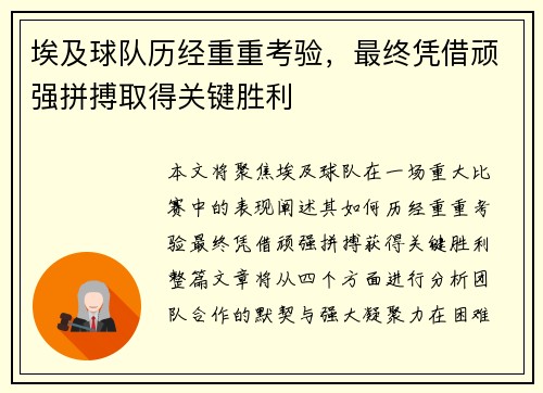埃及球队历经重重考验，最终凭借顽强拼搏取得关键胜利