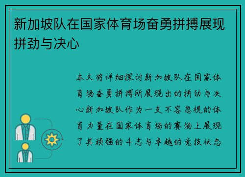 新加坡队在国家体育场奋勇拼搏展现拼劲与决心